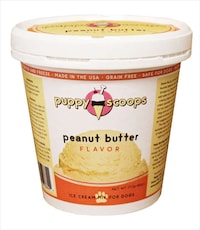 Frozen Dog Desserts Image 2