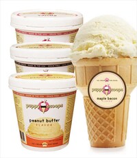 Frozen Dog Desserts Image 4