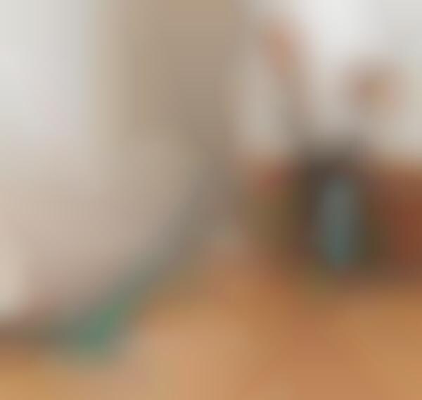 Three-in-One Home Vacuums