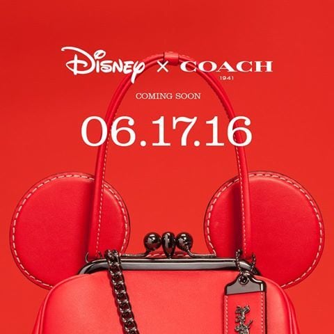 Disney Character Bags
