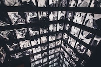Immersive Director Museums Image 4