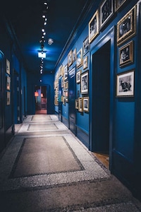 Immersive Director Museums Image 7