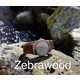 Timber Smartwatch Straps Image 2