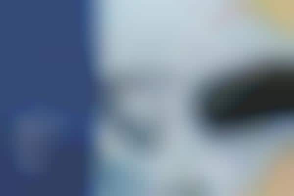 Travel Security Systems