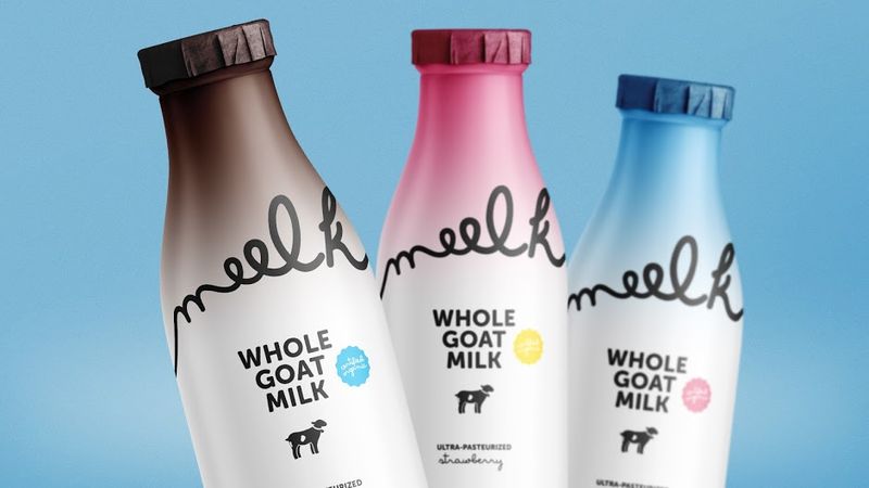 Animal Personality Packaging