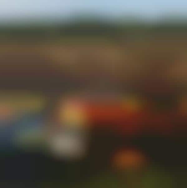 Park-Celebrating Blankets