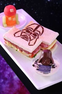 Galactic Theme Park Experiences Image 5