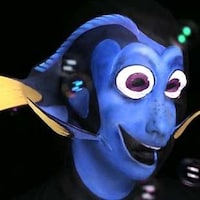 Famous Fish Makeup Tutorials Image 3