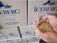 Iceberg-Infused Beers Image 2