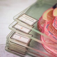 Stackable Anatomy Coasters Image 2