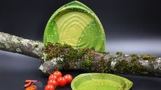 Biodegradable Leaf Plates Article Thubnail