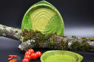 Biodegradable Leaf Plates Article Thubnail