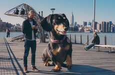 Canine-Centered Kid's Books