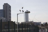 Gravity-Defying Street Art Image 2