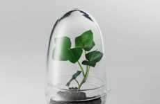Miniature Greenhouse Pods