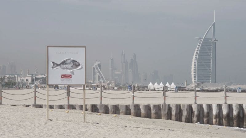 Edible Fish Billboards