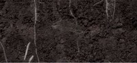Soil-Watching Cameras Image 3