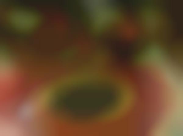 All-Vegan Video Sites
