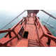 Height-Emphasizing Bridge Photography Image 3