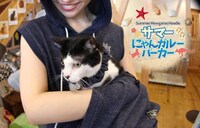 Cat-Carrying Hoodies Image 2