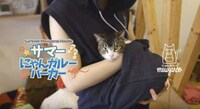 Cat-Carrying Hoodies Image 3