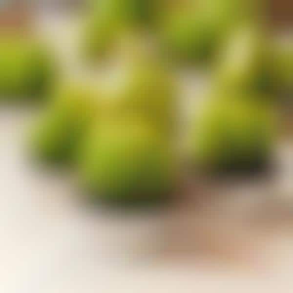 Cactus-Shaped Candles