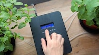 Automated Plant Watering Systems Image 2