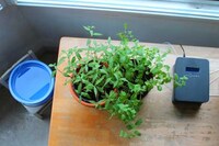 Automated Plant Watering Systems Image 4