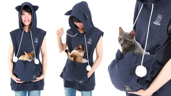 Top 30 Pets Ideas in July