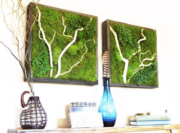 Top 100 Eco Ideas in July