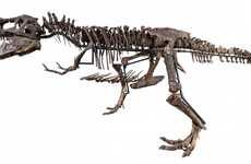Luxury T-Rex Skeletons