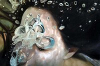 Immersive Aquatic Artwork Image 8