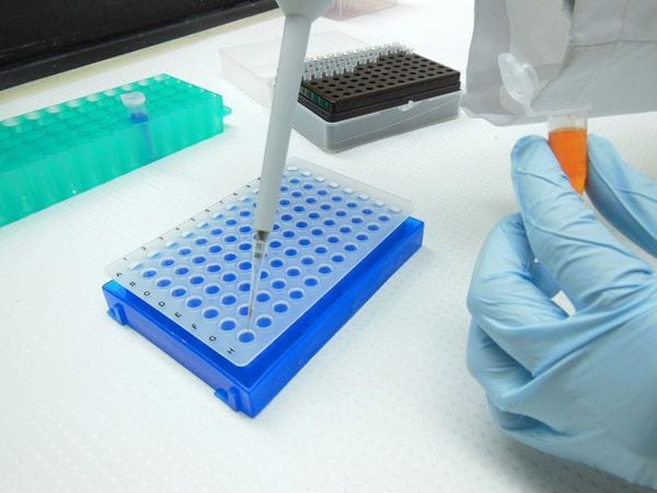 Top 35 Science Ideas in July