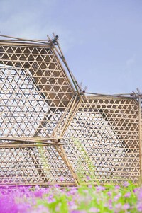Bamboo Hexagonal Structures Image 2