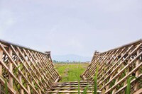 Bamboo Hexagonal Structures Image 3