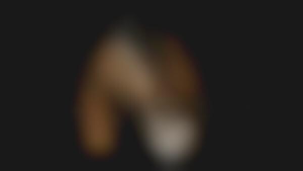 First-Ever Shark Sonograms