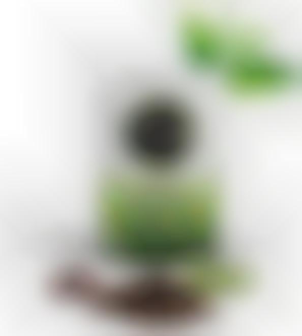 Tea-Infused Coffee Blends