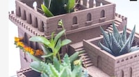Architectural Succulent Planters Image 3