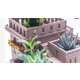 Architectural Succulent Planters Image 3