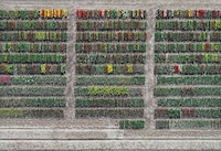 Aerial Flower Photography Image 4