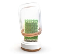 Miniature Superfood Farms Image 2