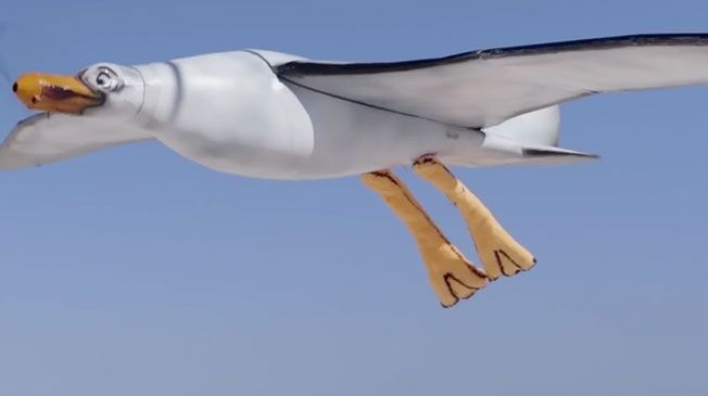 Bird-Shaped Sunscreen Dispensers