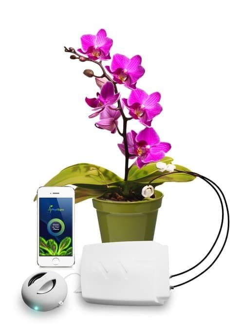 Communicative Plant Contraptions