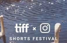 Social Film Festivals