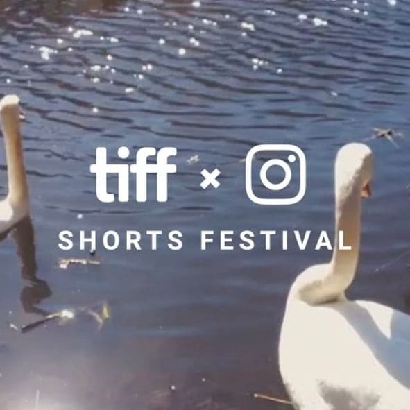 Social Film Festivals