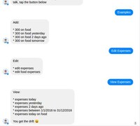 Cash-Conscious Messenger Bots Image 5