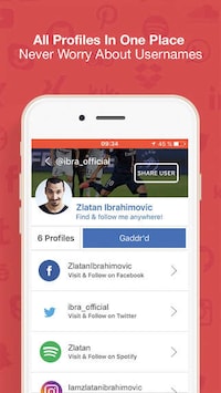 Harmonizing Social Media Apps Image 2