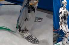Biologically Accurate Artificial Muscles