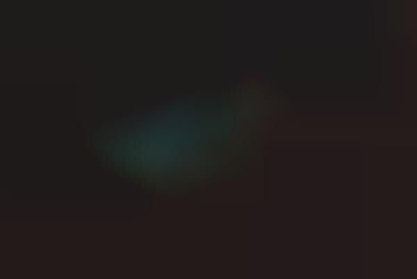 Long-Exposure Firefly Photography