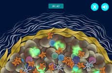 Virtual Tumor-Destruction Apps